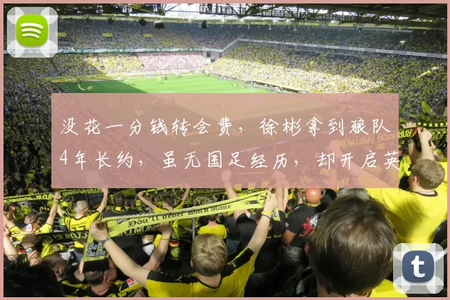 没花一分钱转会费，徐彬拿到狼队4年长约，虽无国足经历，却开启英超租借锻炼之路！_比赛_亚洲杯_曼联