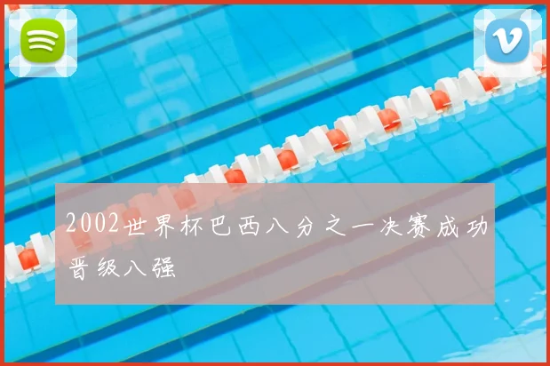 2002世界杯巴西八分之一决赛成功晋级八强